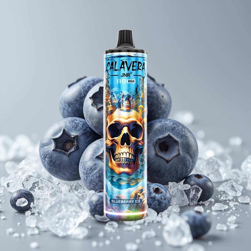 JNR Calavera 11000 Puffs Vape Desechable Arándano Helado Tipo-C 850mAh 21ml