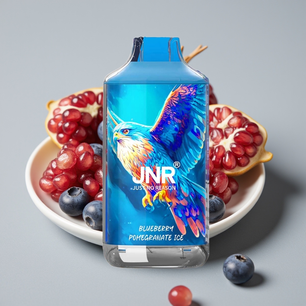 JNR Falcon 16000 Puffs 22ml Doble Malla Arándano Granada Hielo Vape Desechable