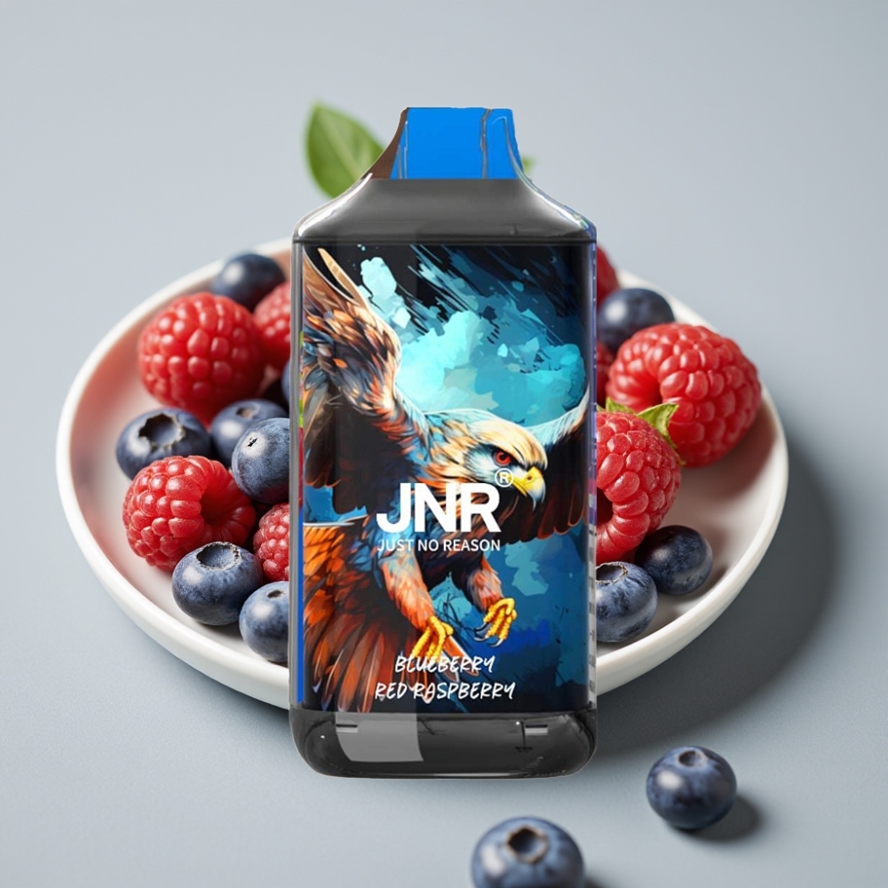 JNR Falcon 16000 Puffs 850mAh 22ml Dual Mesh Coil Arándano Frambuesa Roja