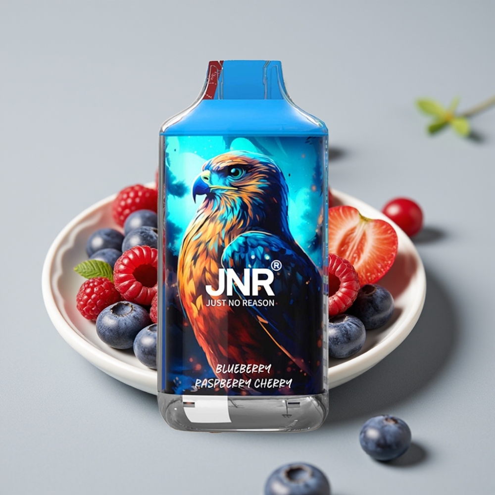 JNR Falcon 16000 Puffs Dispositivo Vape Arándano Frambuesa Cereza 850mAh Tipo C