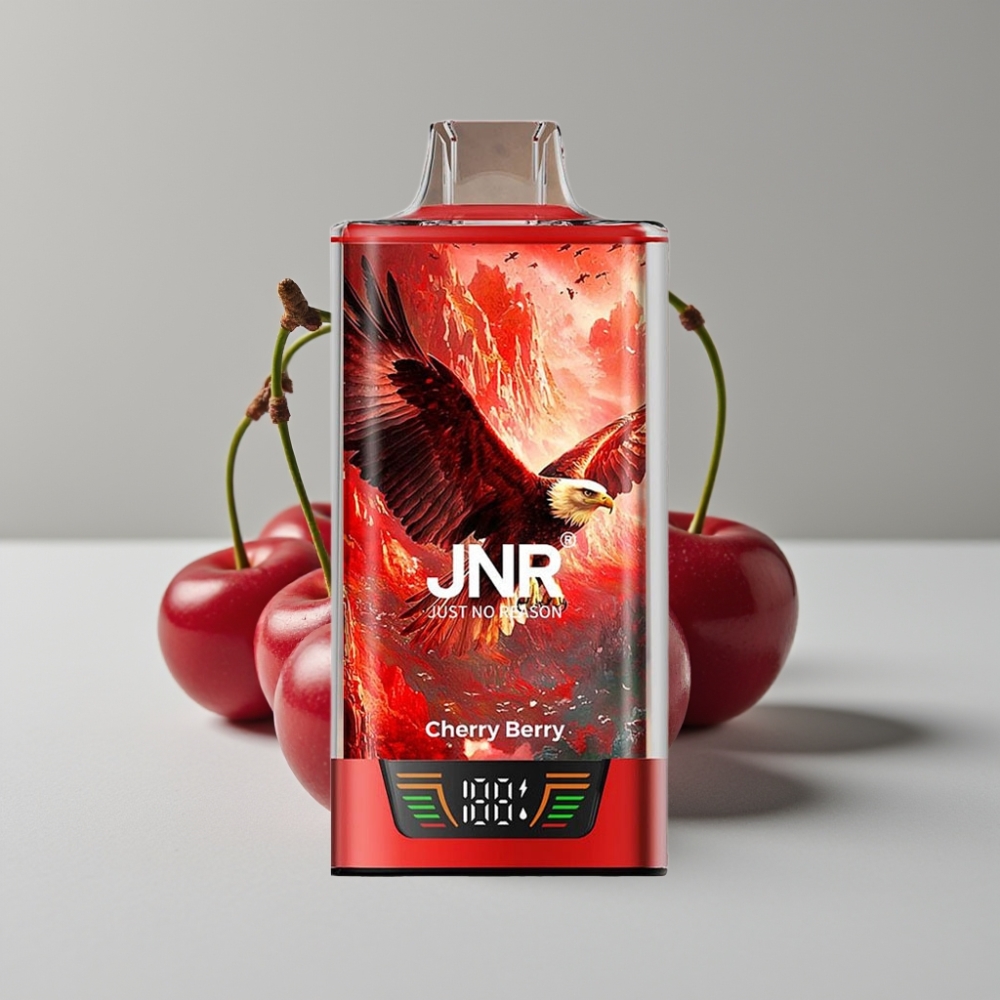 JNR Falcon Pro 28000 Desechable 30ml Cereza Baya USB-C Dual Mesh