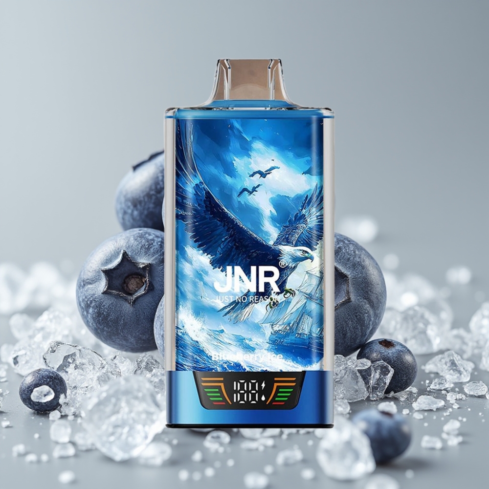 JNR Falcon Pro 28000 Desechable Vape 30ml Arándano Helado USB-C Dual Mesh
