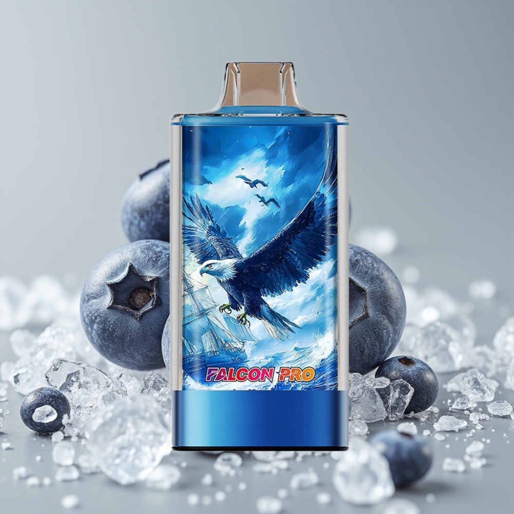 JNR Falcon Pro 28000 Desechable Vape 30ml Arándano Helado USB-C Dual Mesh