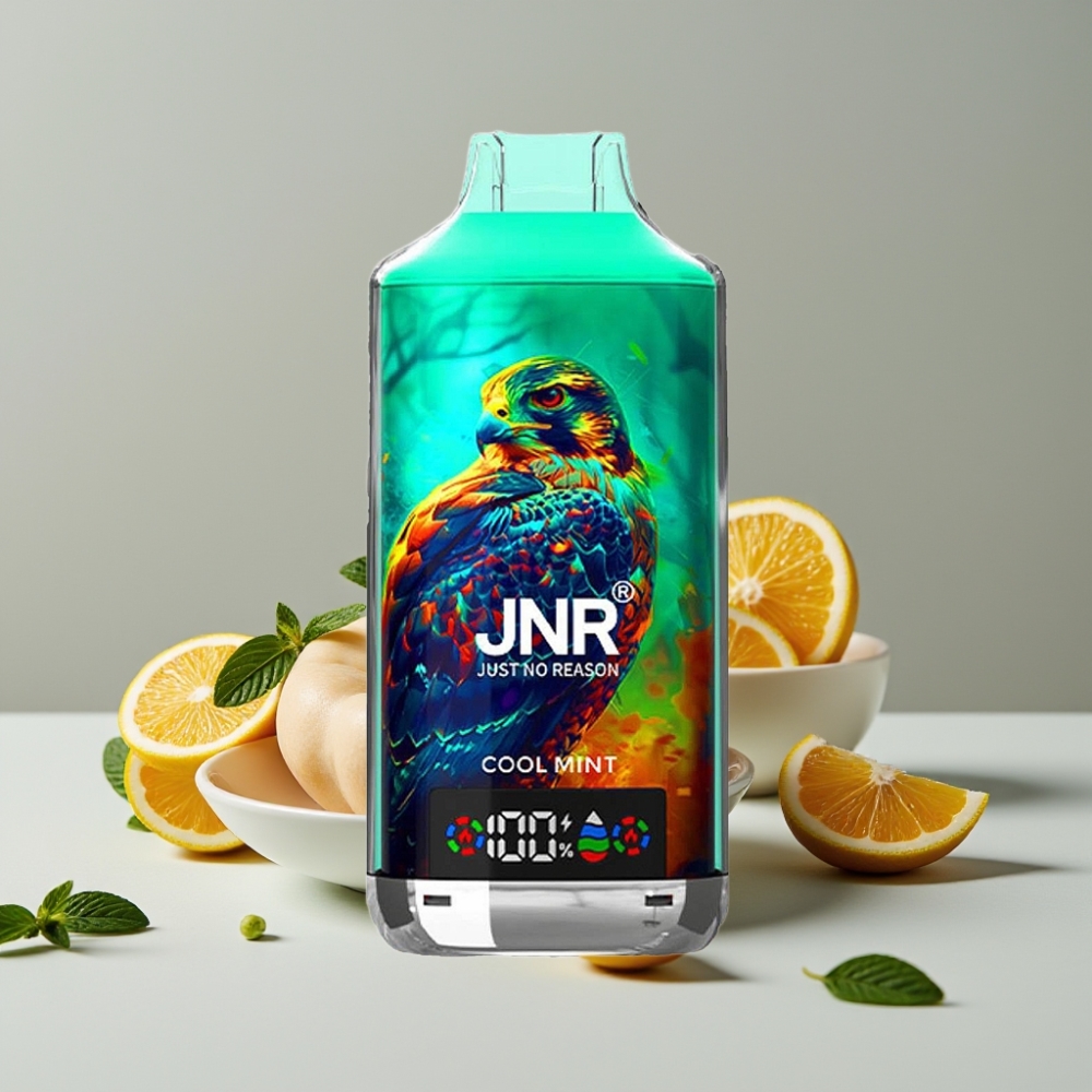 JNR Falcon X 18000 Puffs 24ml Menta Fresca Doble Malla Tipo-C