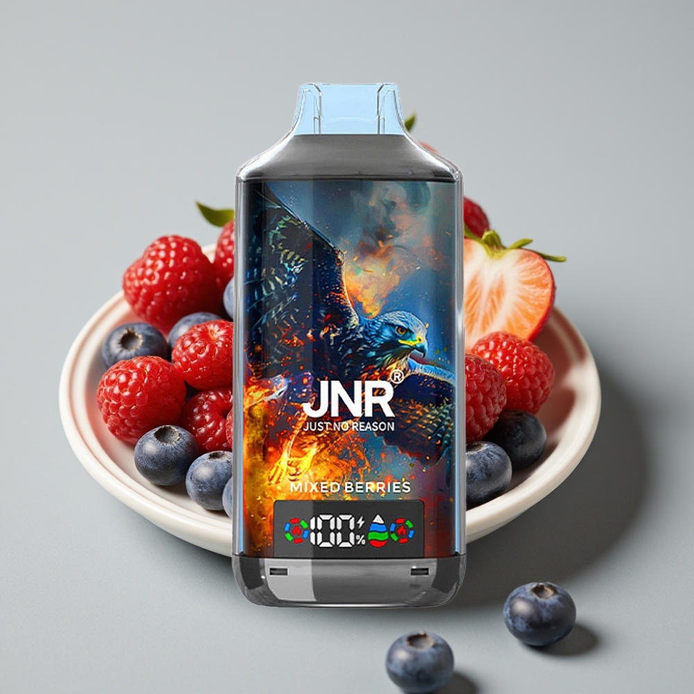 JNR Falcon X 18000 Puffs 24ml Tipo-C Carga Rápida Frutas Mixtas