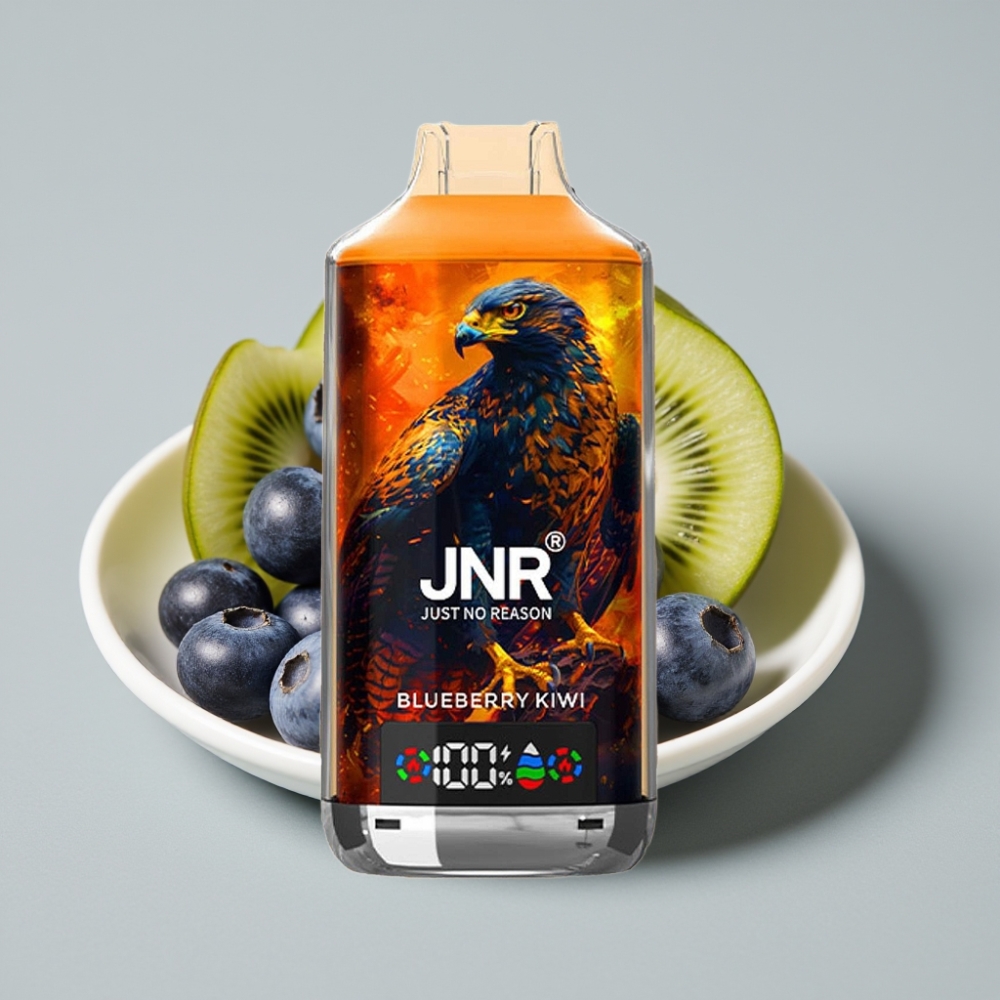 JNR Falcon X 18000 Puffs Dual Mesh 24ml Arándano Kiwi