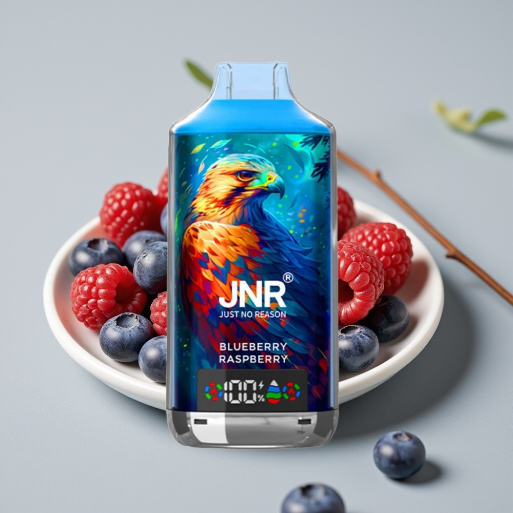 JNR Falcon X 18000 Puffs Vape Disposable Arándano Frambuesa Dual Mesh 24ml