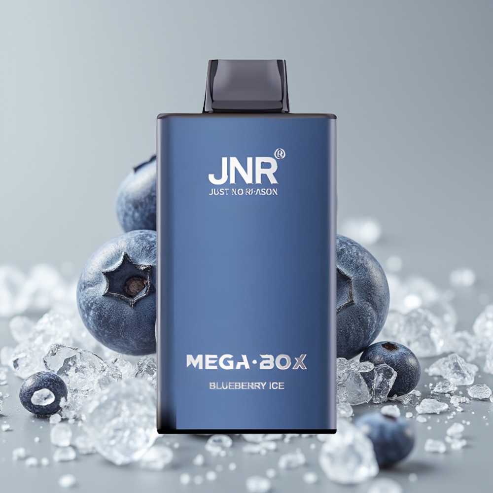 JNR Mega Box 25000 Puffs Desechable Vape Arándano Helado 30ml 850mAh Dual Mesh