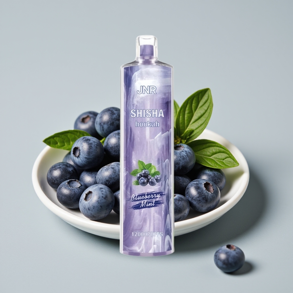 JNR Shisha Hookah 12000 Puffs 24ml 750mAh Menta Arándano Tipo-C