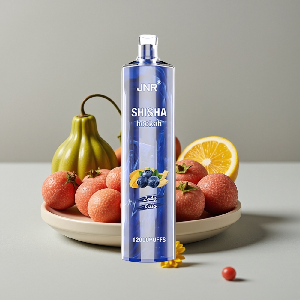JNR Shisha Hookah 12000 Puffs 24ml 750mAh Tipo-C Sabor Lady Killa