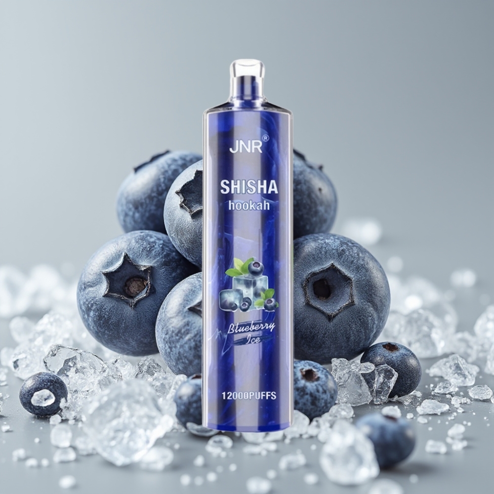 JNR Shisha Hookah 12000 Puffs 24ml Azul Helado Tipo-C 750mAh