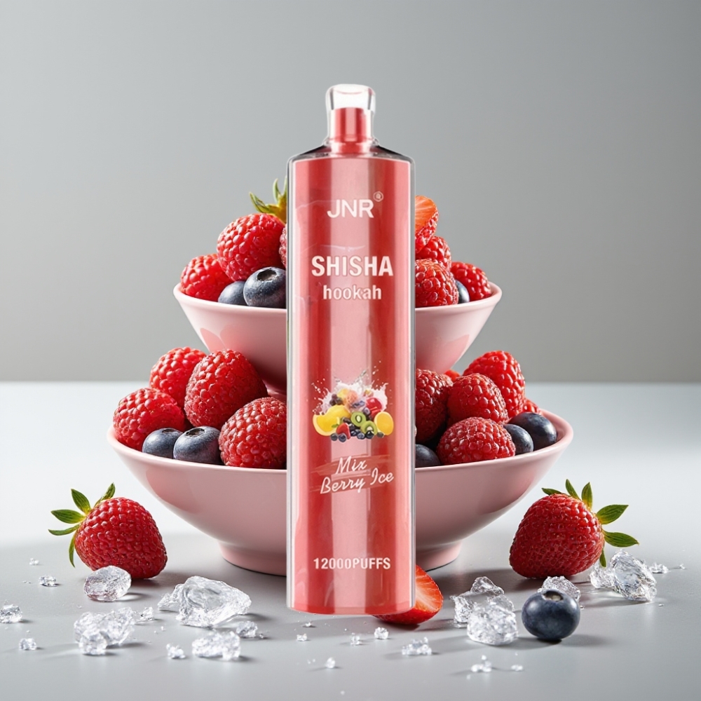 JNR Shisha Hookah 12000 Puffs 24ml Baya Hielo 750mAh Tipo-C