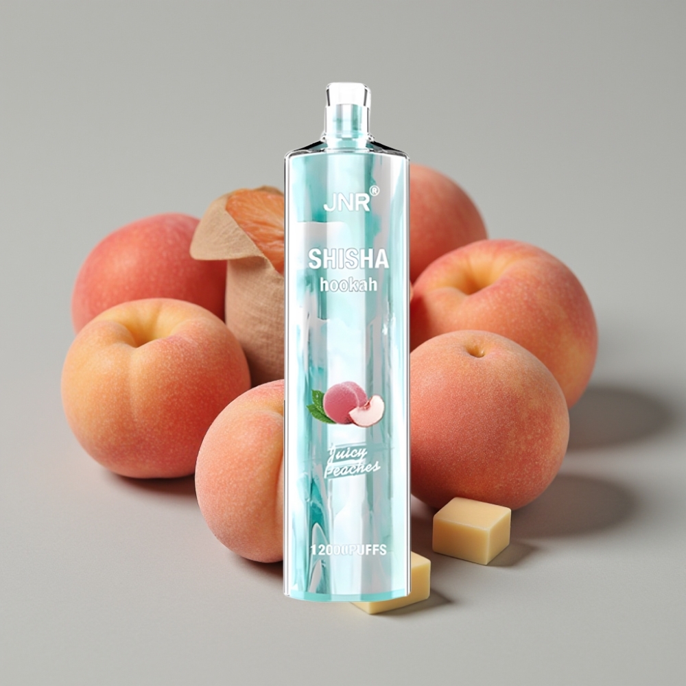 JNR Shisha Hookah 12000 Puffs Melocotón Jugoso 24ml Tipo-C 0.6 Ohm
