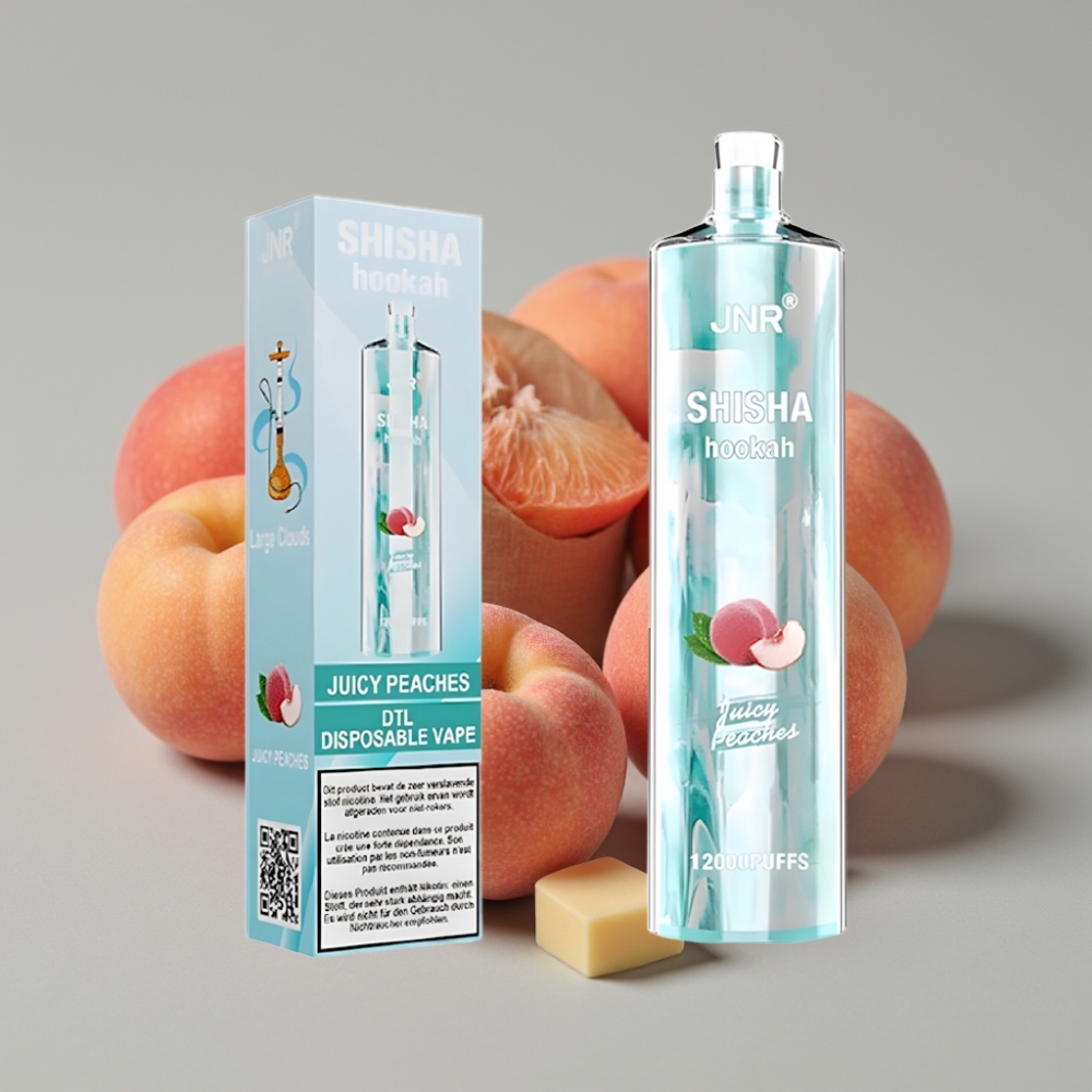 JNR Shisha Hookah 12000 Puffs Melocotón Jugoso 24ml Tipo-C 0.6 Ohm