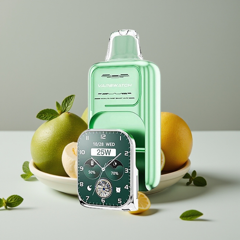 JNR VapeWatch 30000 Puffs Miami Menta 19mL 5% Dual Mesh Coil Tipo-C